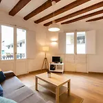 Apartment Ripoll
