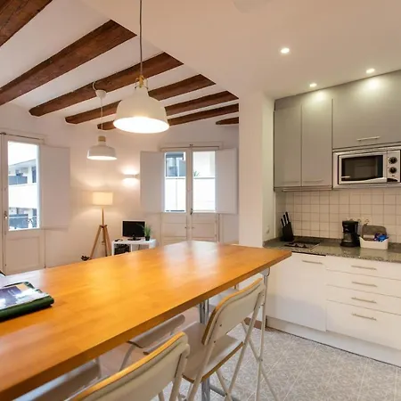 Apartment Ripoll *