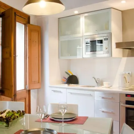 Ripoll Apartment *